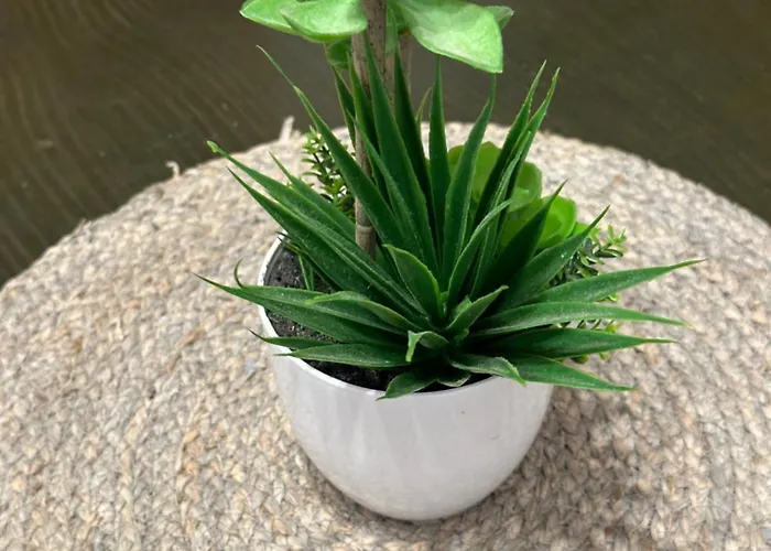 & Jp Appartement Tarifa